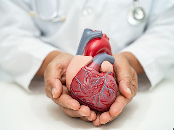 Cholesterol & Lipid Panel Management hairline definition 2026 01 06t163323.615
