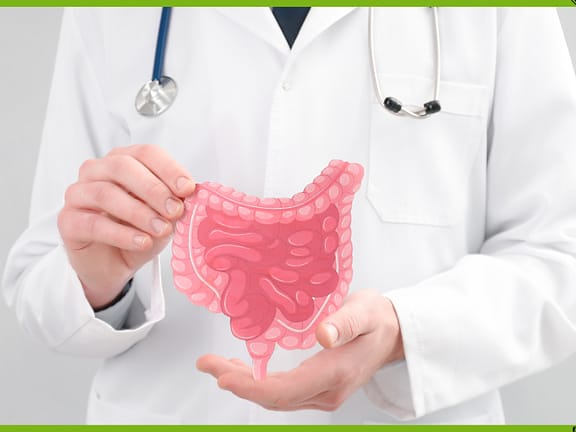 Ayurvedic Gut Health Therapies hairline definition 2026 01 07t103804.731