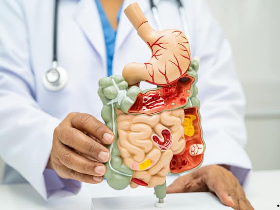 Digestive & Gut Health untitled design (11)