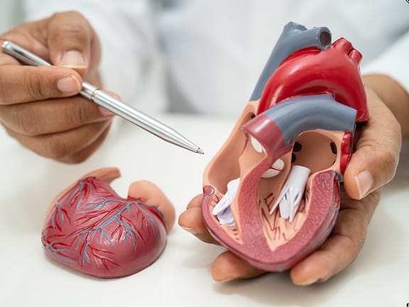 Cardiometabolic & Internal Medicine untitled design (15)