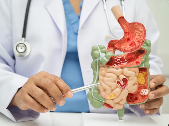 Digestive & Gut Health untitled design (19)